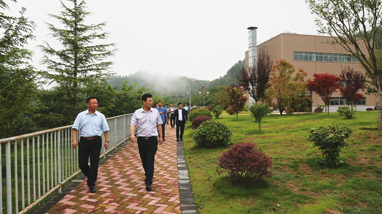 202004101586490274146006.jpg 3.jpg