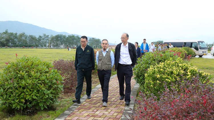 202110061633485931634288.jpg 4.jpg