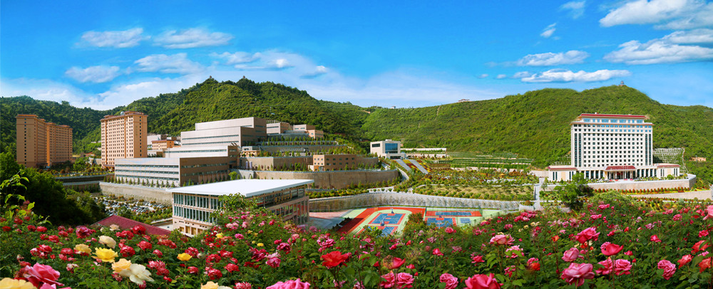 202301121673485884991514.jpg 圖3:三季有花、四季常青的金徽礦區_副本.jpg