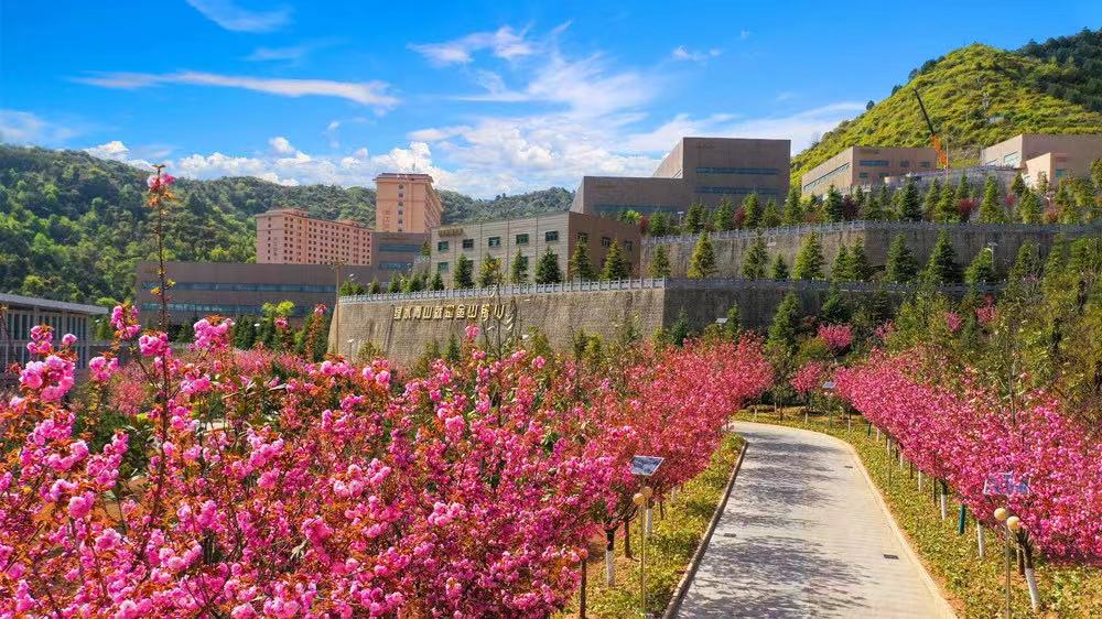 202406251719303495497942.jpg 5.jpg