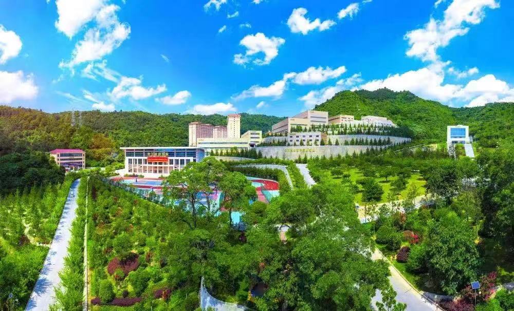 202407151721016314332169.jpg 17.jpg